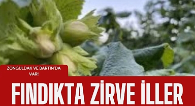 Türkiye'nin fındık üretiminde zirve iller belli oldu! Listede Zonguldak ve Bartın'da var