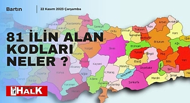 81 ilin alan kodları neler? 
