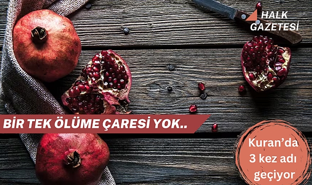 BİR TEK ÖLÜME ÇARESİ YOK!