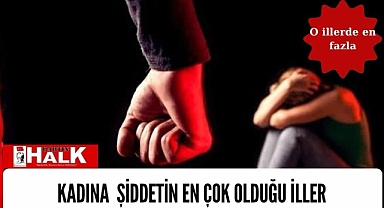Kadına Şiddetin en çok olduğu iller