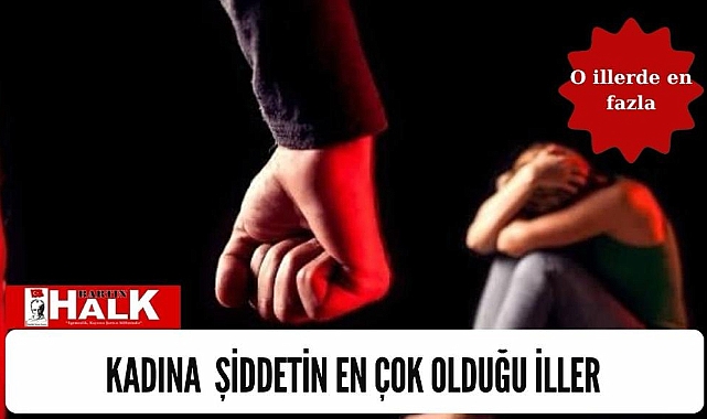 Kadına Şiddetin en çok olduğu iller