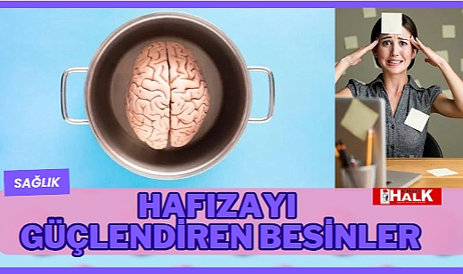 HAFIZAYI GÜÇLENDİREN BESİNLER