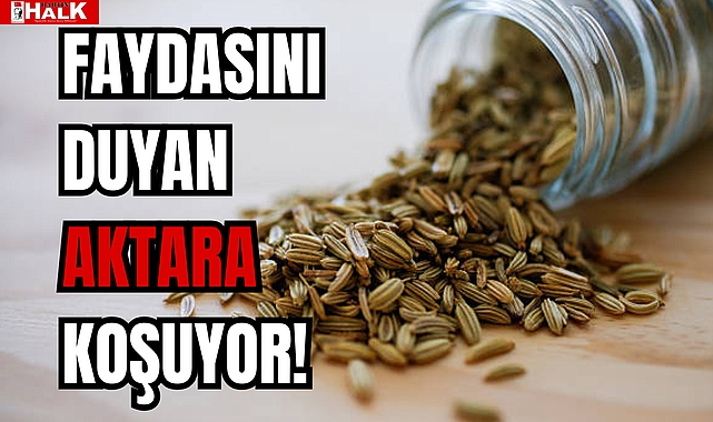 FAYDASINI DUYAN AKTARA KOŞUYOR!