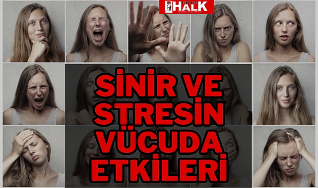 SİNİR VE STRESİN VÜCUDA ETKİLERİ