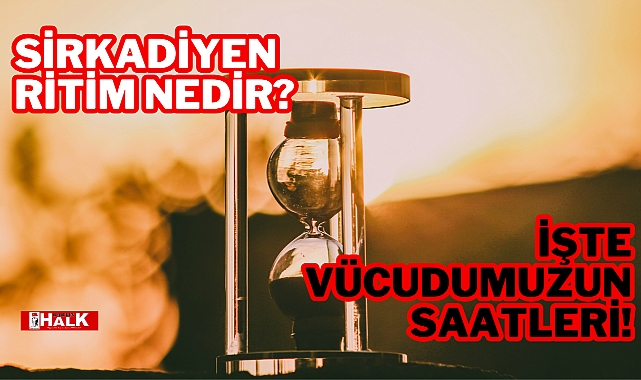 İŞTE VÜCUDUMUZUN SAATİ!