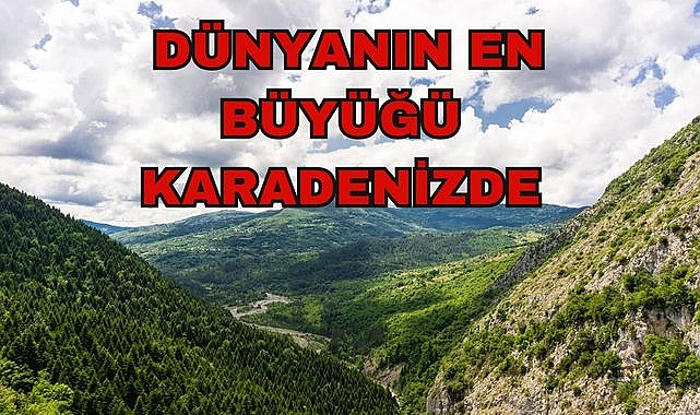 DÜNYANIN EN BÜYÜĞÜ KARADENİZ'DE