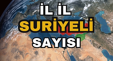 İl İl Suriyeli sayısı
