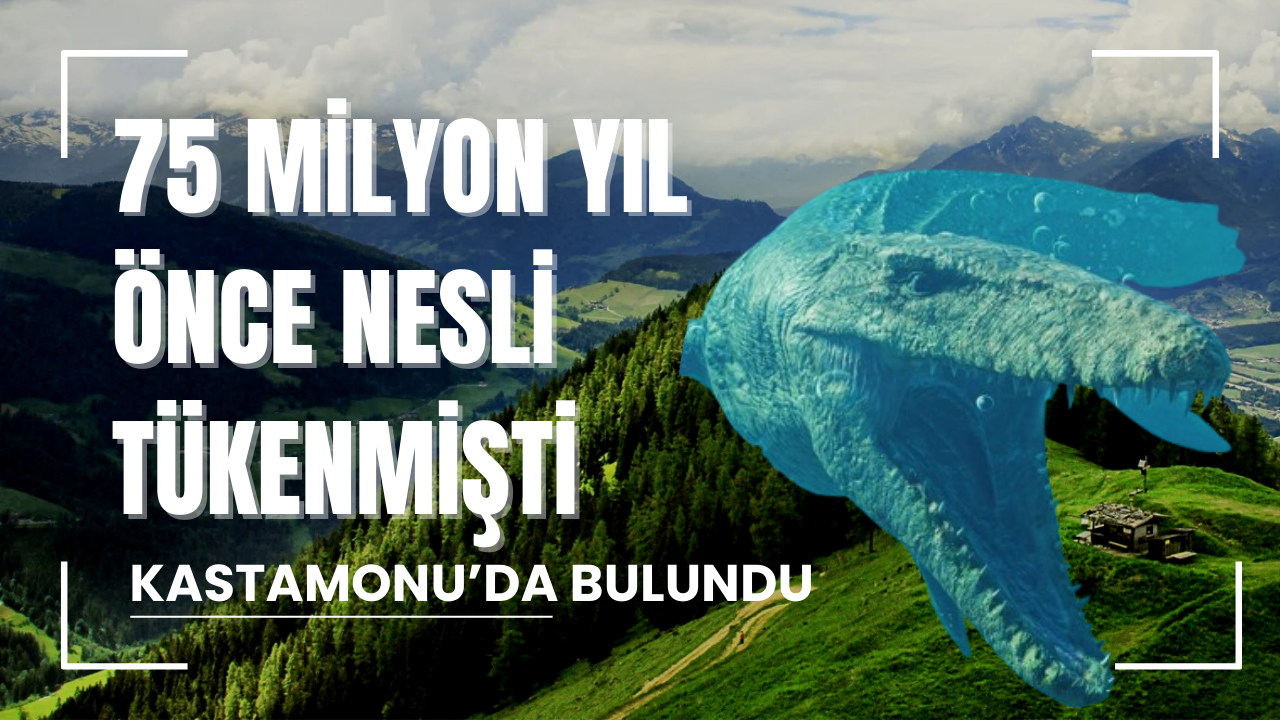 75 MİLYON YIL ÖNCE NESLİ TÜKENMİŞTİ