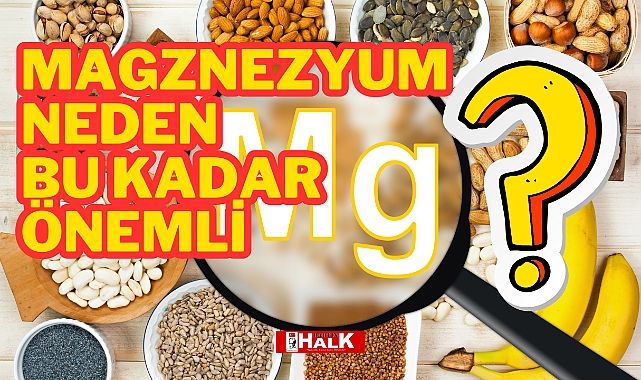 Magnezyum Neden Bu Kadar Önemli?
