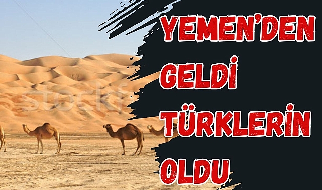 YEMEN'DEN GELDİ TÜRKLERİN OLDU