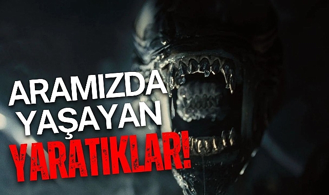 ARAMIZDA YAŞAYAN YARATIKLAR!