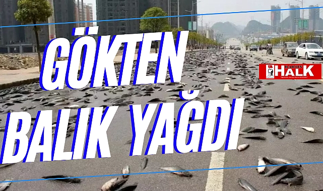 GÖKTEN BALIK YAĞDI