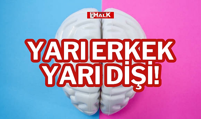 YARI ERKEK YARI DİŞİ!