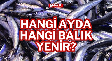 Hangi Ayda Hangi Balık Yenir?