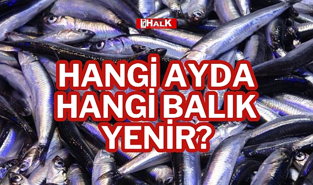 Hangi Ayda Hangi Balık Yenir?