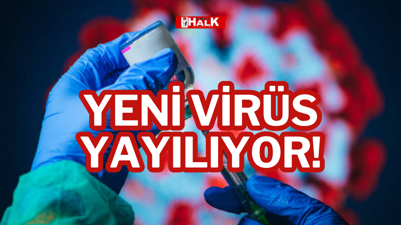 YENİ VİRÜS YAYILIYOR!