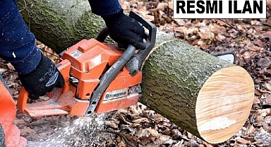 AĞAÇ VE MAKİLİKLERİN KESİLMESİ HİZMETİ ALINACAKTIR