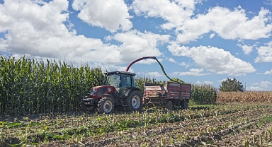Çiftçiye silajlık mısır tohumu desteği yapılacak