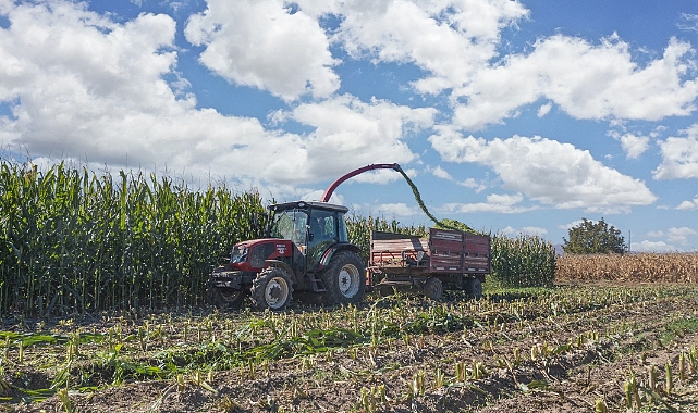 Çiftçiye silajlık mısır tohumu desteği yapılacak