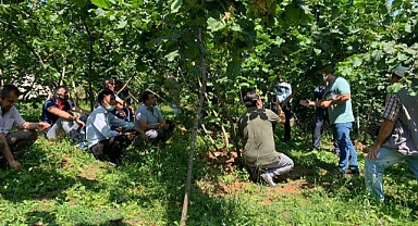 Fındık üreticisinin yüzü gülüyor
