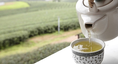 Hangi bitki çayı neye iyi geliyor ?