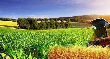 Hibe Desteği başvuru sonuçları açıklandı