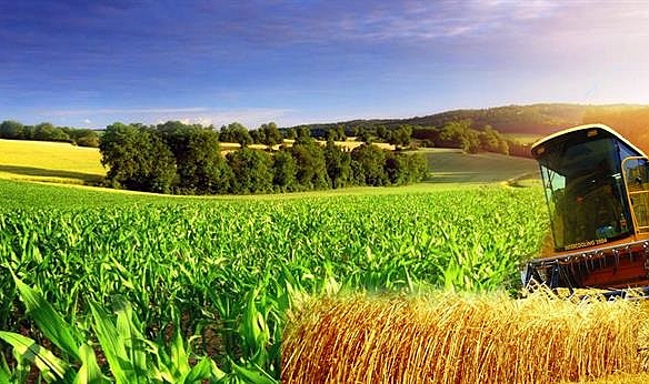 Hibe Desteği başvuru sonuçları açıklandı