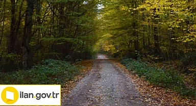 Orman yolu yaptırılacak