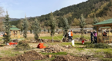 Ulus daha da yeşilleniyor