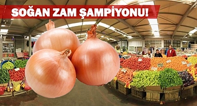 ZAM ŞAMPİYONU SOĞAN!