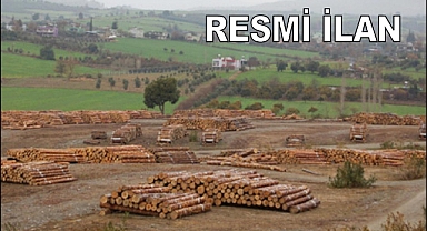 BARTIN ORMAN İŞLETME MÜDÜRLÜĞÜ AKÇAMESCİT ORMAN DEPOSU DEPO DAHİLİ YOL