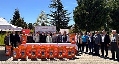 87 üreticiye yağlık ayçiçeği tohumu dağıtıldı