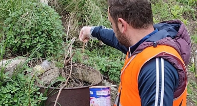 Amasra’da Larva ve Sivrisinek mücadelesi başladı