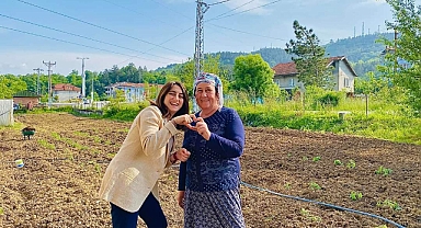 Bankoğlu,