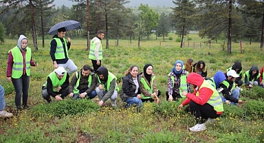 Bartın Üniversitesi Orman Fakültesi Öğrencileri Safranbolu’da