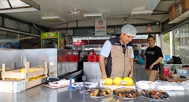 Gıda denetim ve kontrollerine devam ediliyor