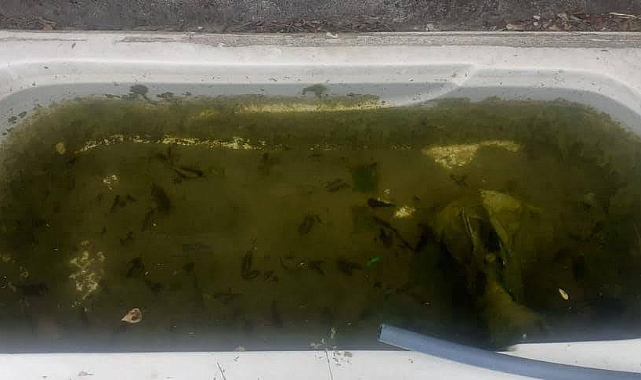 İlaçlama Çalışması yapıldı