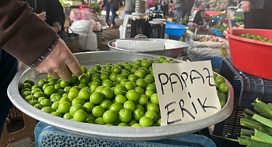 Tezgahlarda erik göründü