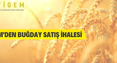 TİGEM'den buğday satış ihalesi