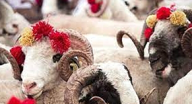 Bartın İl Müftülüğünden Kurban eti ilgili fetva