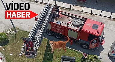 Bartın İtfaiyesi’nden kedi kurtarma operasyonu