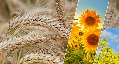 Bartınlı çiftçiler dikkat! Hesaplarınızı kontrol etmeyi unutmayın