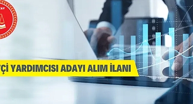 Denetçi Yardımcısı Adayı Alım İlanı