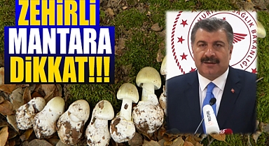 Her 100 Kişiden 3’ü Hayatını Kaybediyor