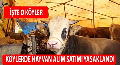 Köylerde hayvan alım satımı yasaklandı