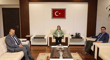 MEB Müfettişinden , Vali Arslan'a nezaket ziyareti
