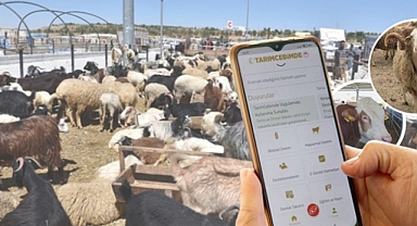 Satışı yapılan kurbanlık bilgileri TarımCebimde