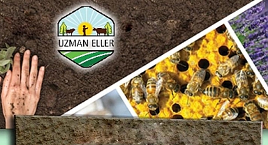 Uzman Eller Projesi kapsamında Bartın’da 5 projeye destek