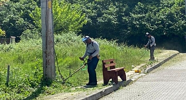 Yabani ot temizliği sürüyor