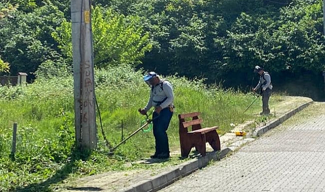 Yabani ot temizliği sürüyor